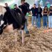 Jornada técnica abre Expo Girolando em Barra Mansa com foco em produtividade no campo