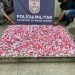 Drone localiza tonel com 2.500 pinos de cocaína escondido em mata em Resende