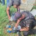PM prende cinco pessoas e apreende três revólveres e drogas em operação em Paraíba do Sul
