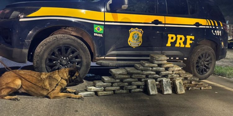 PRF apreende cerca de 50 quilos de maconha durante operação em Piraí