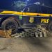 PRF apreende cerca de 50 quilos de maconha durante operação em Piraí