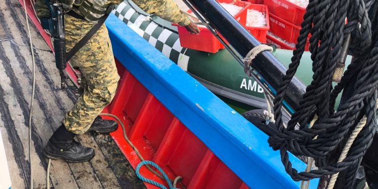 Polícia apreende 250 quilos de pescado e crustáceos em área de pesca proibida em Paraty