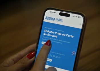 Barra Mansa orienta população sobre solicitação online de poda e corte de árvores