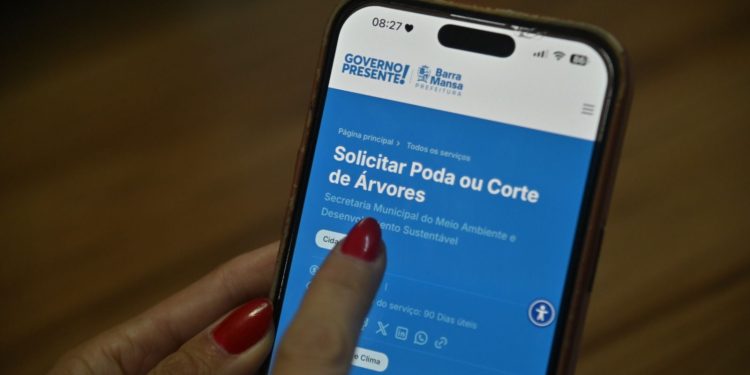 Barra Mansa orienta população sobre solicitação online de poda e corte de árvores