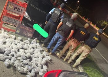 PM e PRF interceptam carro com drogas na Rio-Santos durante operação em Angra