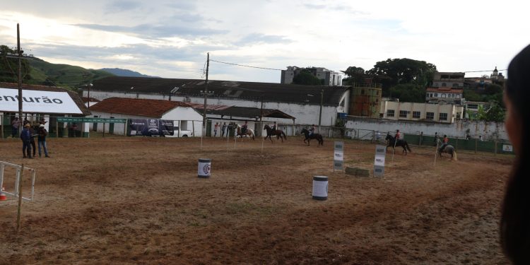 Barra do Piraí abre inscrições para equoterapia