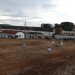 Barra do Piraí abre inscrições para equoterapia