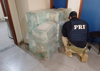 PRF fareja maconha em carga e apreende 600 kg escondidos em caminhão na Dutra