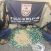 PM apreende quase 10 quilos de cocaína e prende dupla em Angra