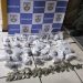 PM apreende drogas avaliadas em R$ 38,5 mil em Mendes