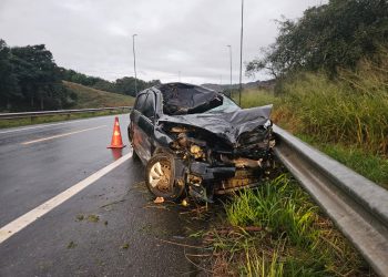 Motorista fica ferido após atropelar cavalo na BR-393, em Barra do Piraí