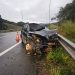 Motorista fica ferido após atropelar cavalo na BR-393, em Barra do Piraí