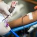 Hemonúcleo de Barra Mansa alerta para doações regulares de sangue
