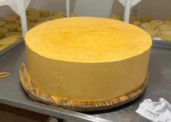 Festa do Queijo começa nesta quinta em Valença com maior queijo prato do mundo e programação de quatro dias