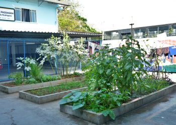 Volta Redonda amplia hortas comunitárias em unidades da assistência social
