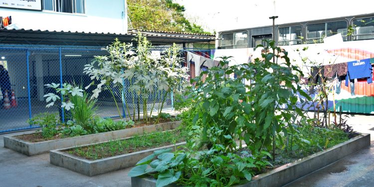 Volta Redonda amplia hortas comunitárias em unidades da assistência social