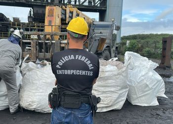 PF incinera 2,5 toneladas de drogas apreendidas em operações no Rio