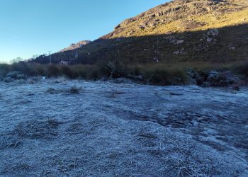 Frio de verdade: geada cobre o Parte Alta do PNI, em Itatiaia