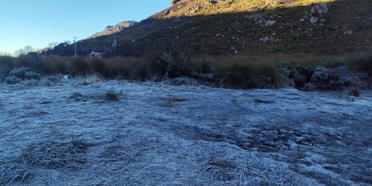 Frio de verdade: geada cobre o Parte Alta do PNI, em Itatiaia