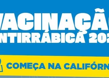 Barra do Piraí inicia campanha de vacinação antirrábica neste sábado pela Califórnia