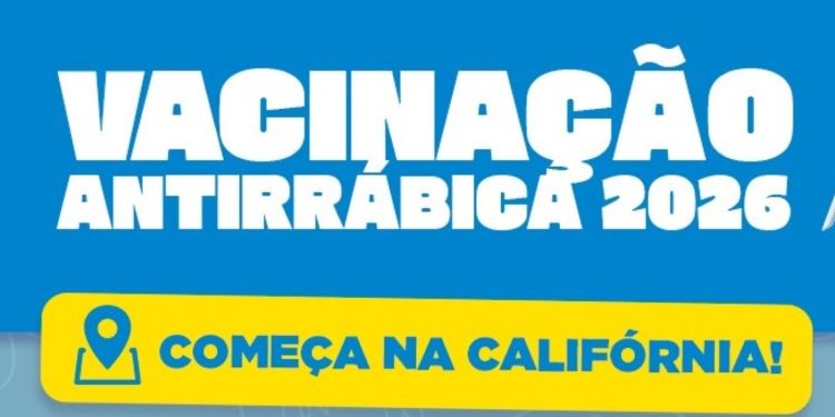 Barra do Piraí inicia campanha de vacinação antirrábica neste sábado pela Califórnia