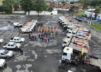 Light realiza mutirão de podas em Barra Mansa; veja relação de bairros atendidos