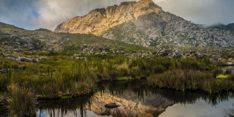 Parque Nacional do Itatiaia abre processo seletivo para cadastro de reserva de agentes temporários ambientais