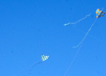 Festival de Pipas reúne famílias no Parque da Cidade neste domingo em Barra Mansa