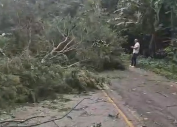 Ventania com rajadas de mais de 100 km/h assusta moradores em Angra dos Reis e Paraty