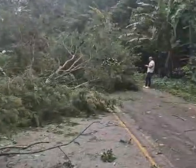 Ventania com rajadas de mais de 100 km/h assusta moradores em Angra dos Reis e Paraty