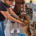 Um novo começo: campanha de adoção transforma a vida de pets em Barra do Piraí