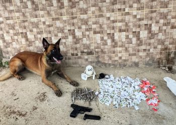 Companhia do Batalhão de Ações com Cães em Volta Redonda faz primeira ocorrência na região