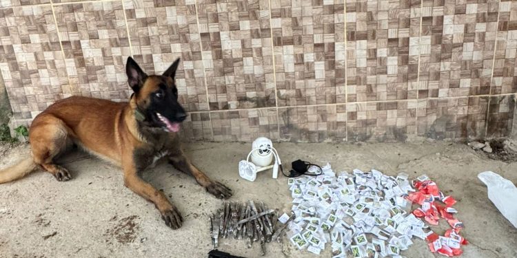Companhia do Batalhão de Ações com Cães em Volta Redonda faz primeira ocorrência na região