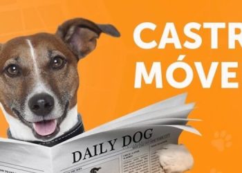 Castramóvel oferece castração gratuita para cães e gatos em Barra do Piraí