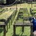 Cedae e Prefeitura de Vassouras vão restaurar área de Mata Atlântica equivalente a 21 campos de futebol