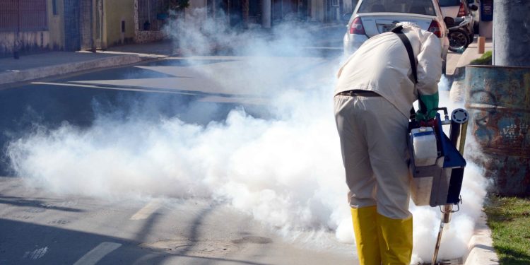 Mutirão contra dengue e roedores mobiliza agentes no Centro de Barra Mansa