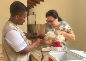 Campanha antirrábica supera 14 mil animais imunizados em Barra do Piraí