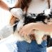 Barra Mansa terá vacinação antirrábica gratuita para cães e gatos em setembro