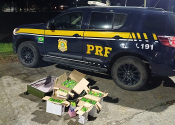 PRF encontra 324 frascos de lança-perfume em bagagem de passageira na BR-040