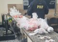 Homem é preso com mais de 3 mil pedras de crack e 500 pinos de cocaína na Dutra, em Volta Redonda