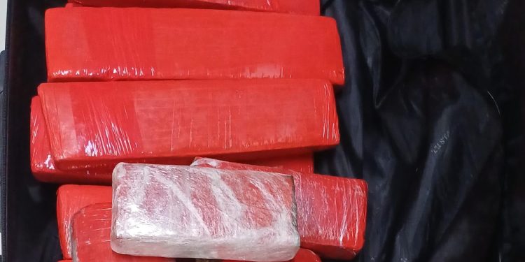 PRF apreende 24 kg de drogas em ônibus na BR-040 em Três Rios