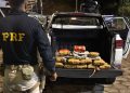 Homem é preso com 26 kg de haxixe escondidos em caminhonete na Dutra, em Piraí