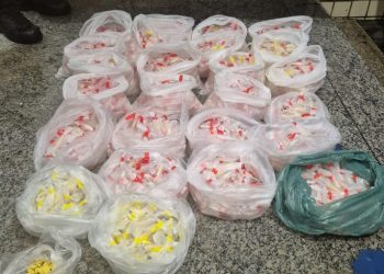 PM apreende mais de 5,8 mil pinos de cocaína na BR-116