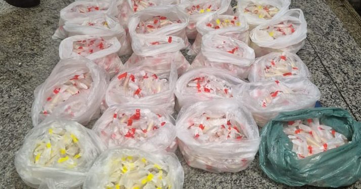 PM apreende mais de 5,8 mil pinos de cocaína na BR-116