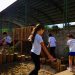 Instituto Motiva investe R$ 500 mil em escolas públicas para criação de espaços verdes e inclusivos