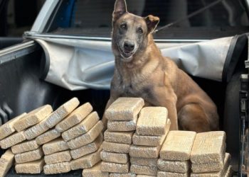PF prende homem com 40 kg de pasta base de cocaína em Piraí