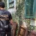 PF investiga comércio ilegal de pintura peruana do século XVII no Rio