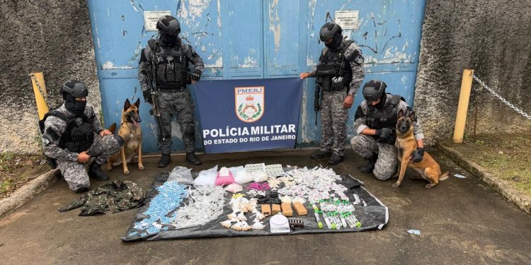 Cães farejadores descobrem esconderijo de drogas em Barra Mansa