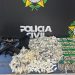 Polícia Civil impede avanço do CV em Angra dos Reis