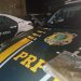 PRF prende mulher com quase 1 kg de haxixe em ônibus na Via Dutra, em Itatiaia